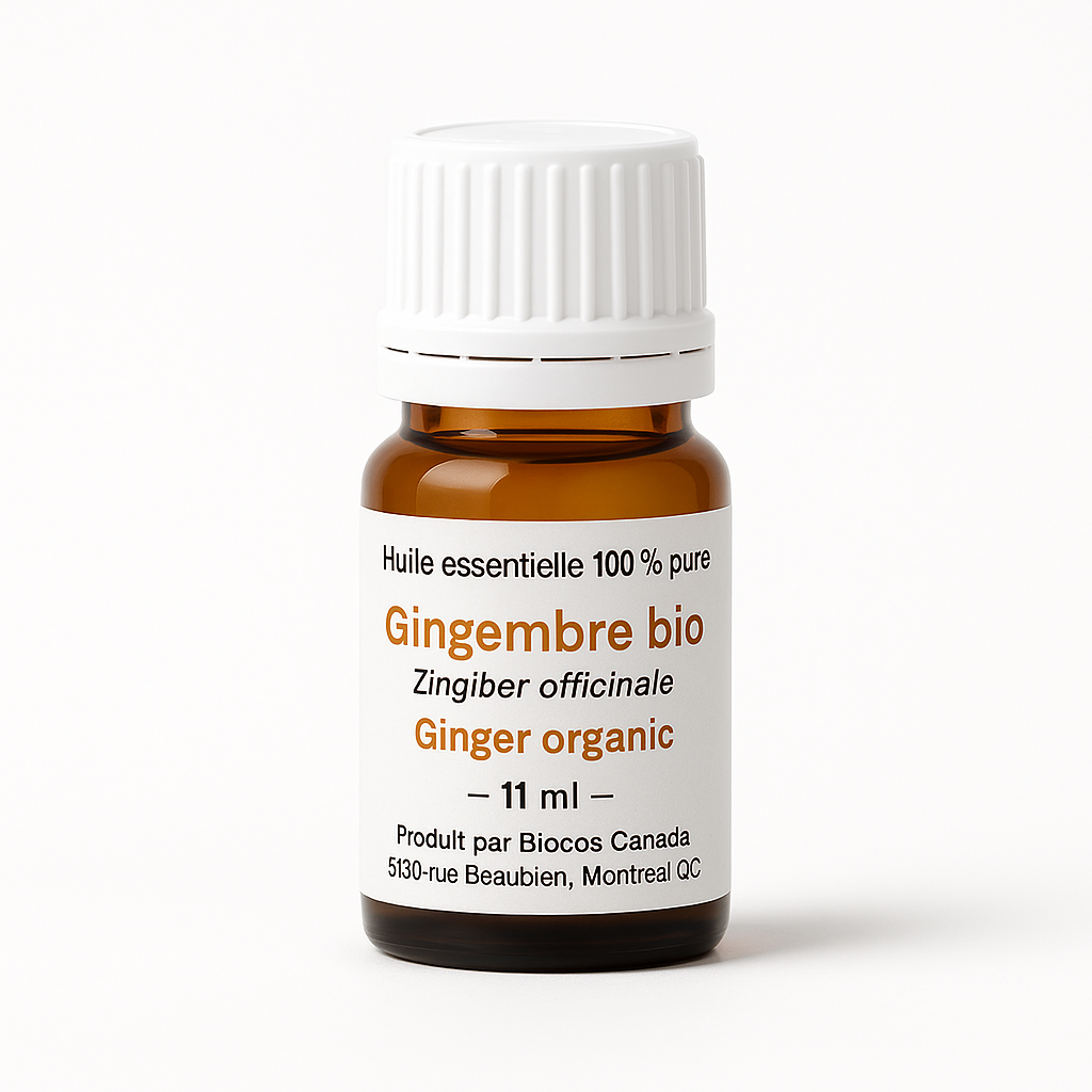 Ginger Essential Oil
