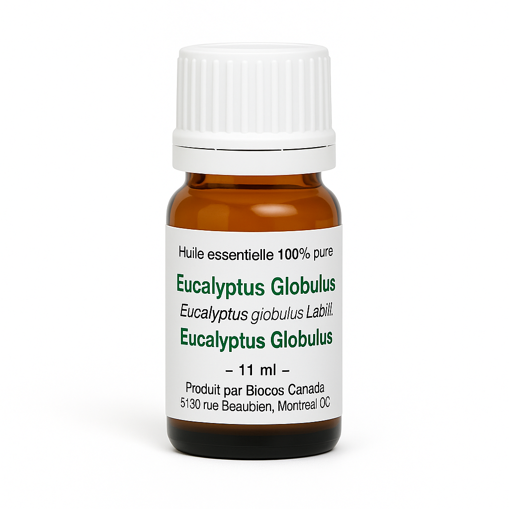 Eucalyptus Globulus Essential Oil