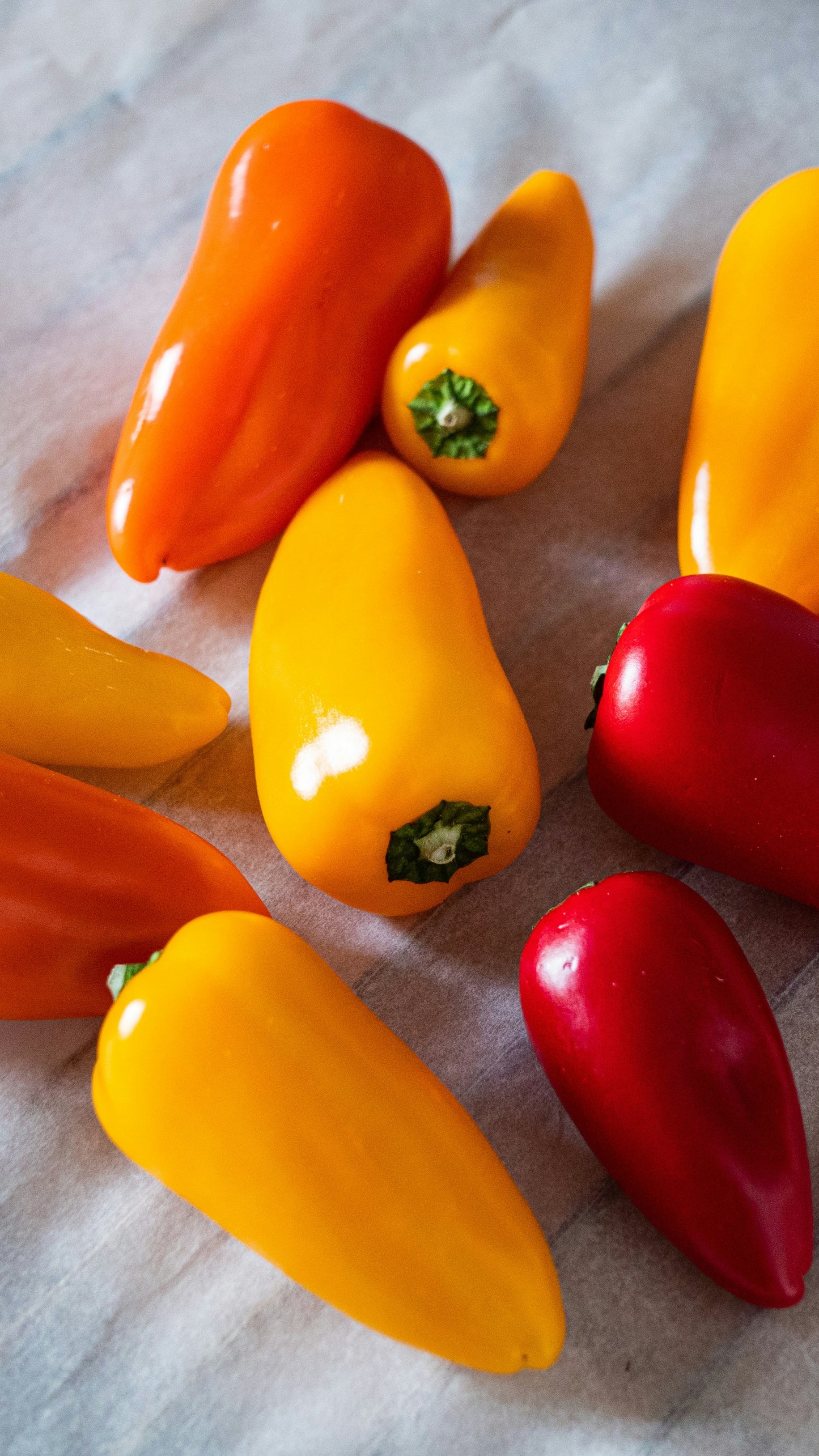 Antohi Romanian Sweet Pepper Seedling