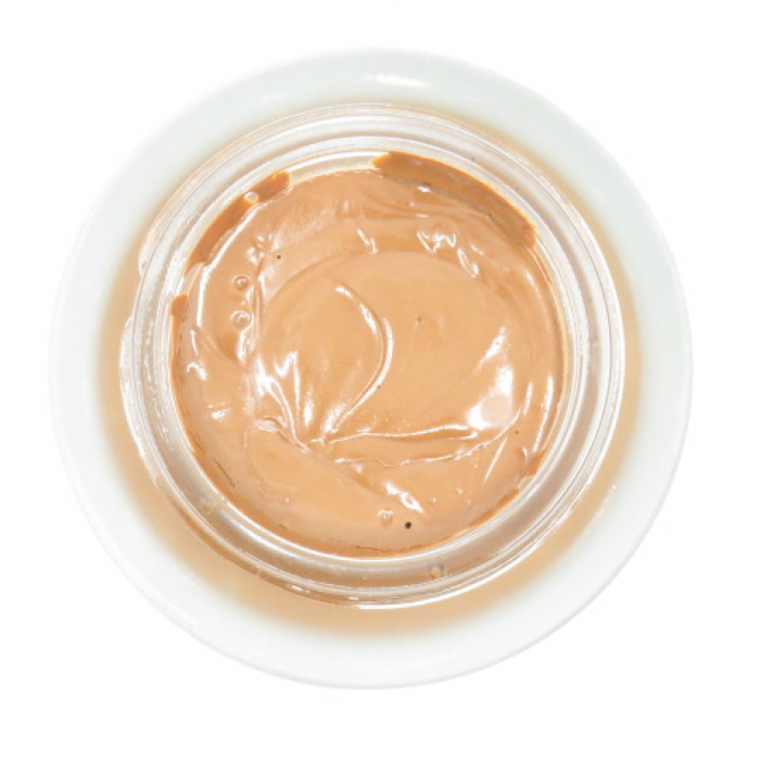 Regenerating Face Mask