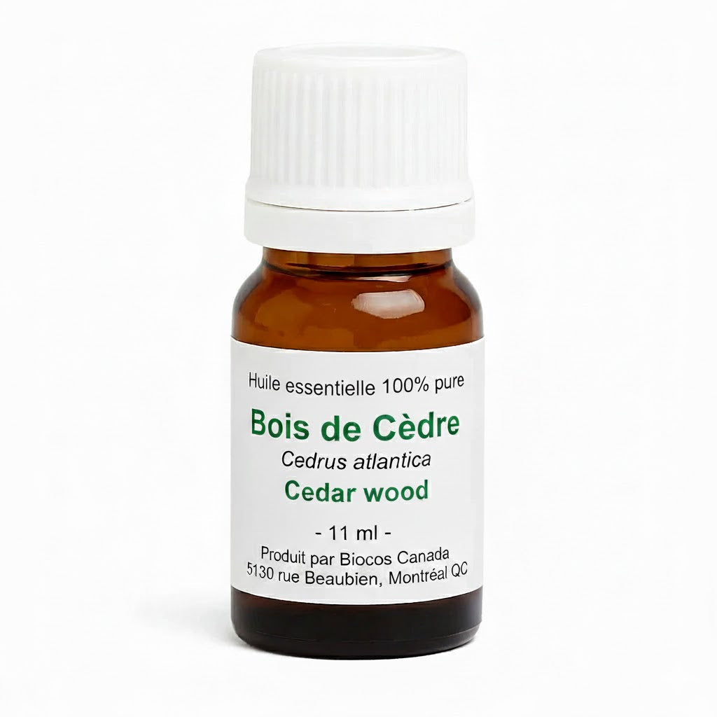Cedar Wood Essential Oil