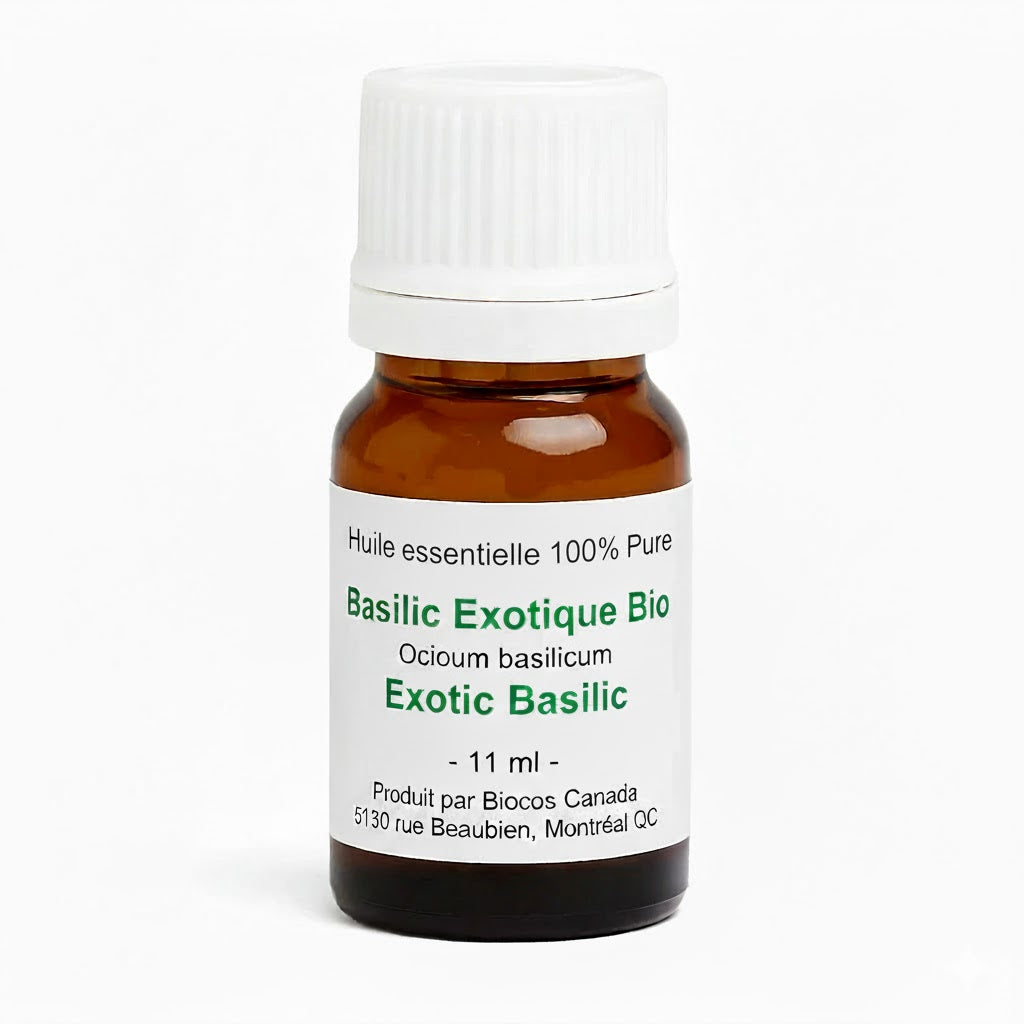 Exotic Basil Essential Oil