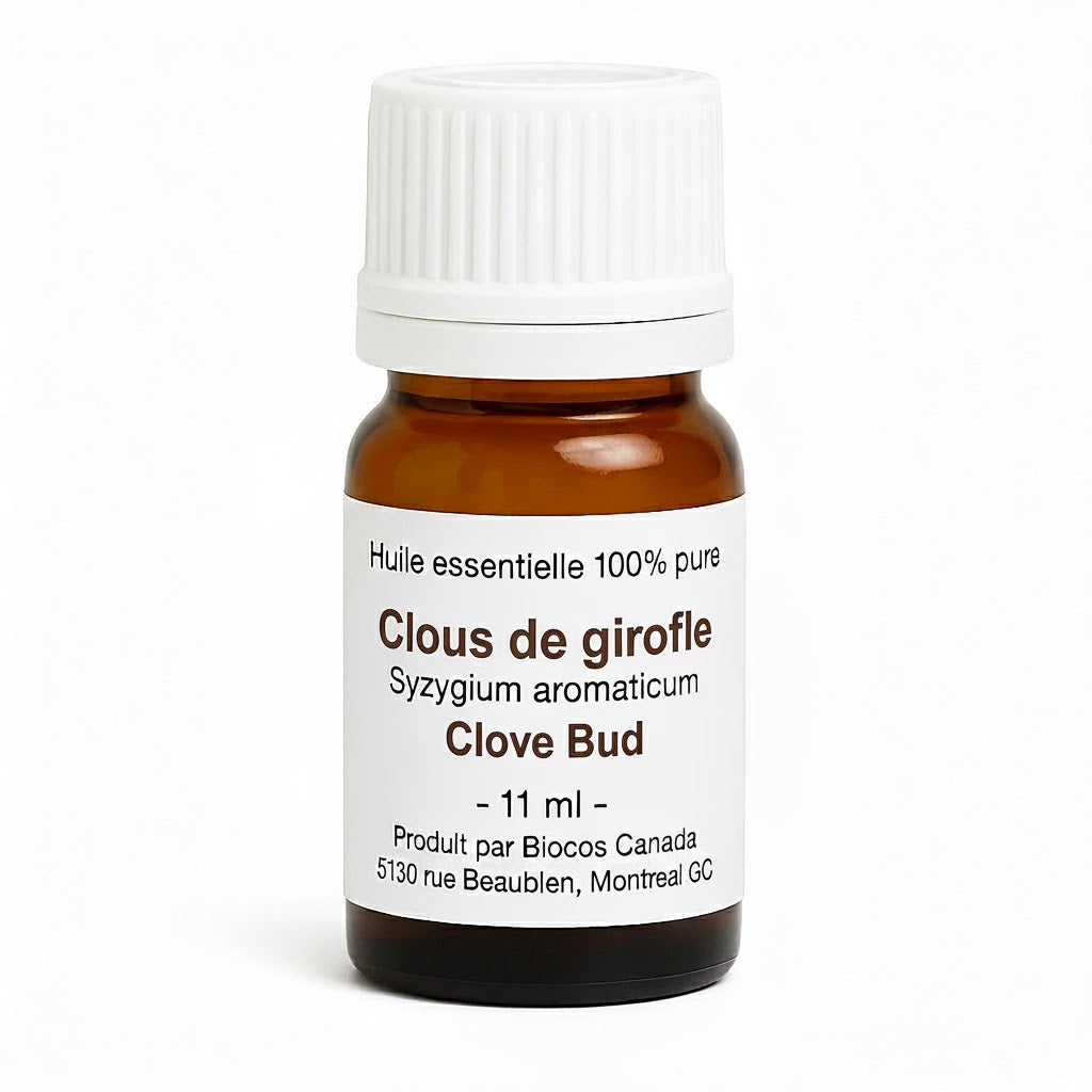Clove Bud Essential Oil