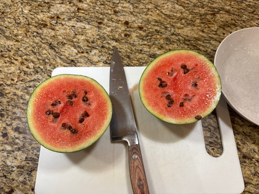 Sugar Baby Watermelon Seedling