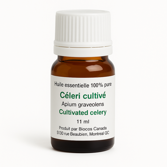 Celery Seed Essential Oil