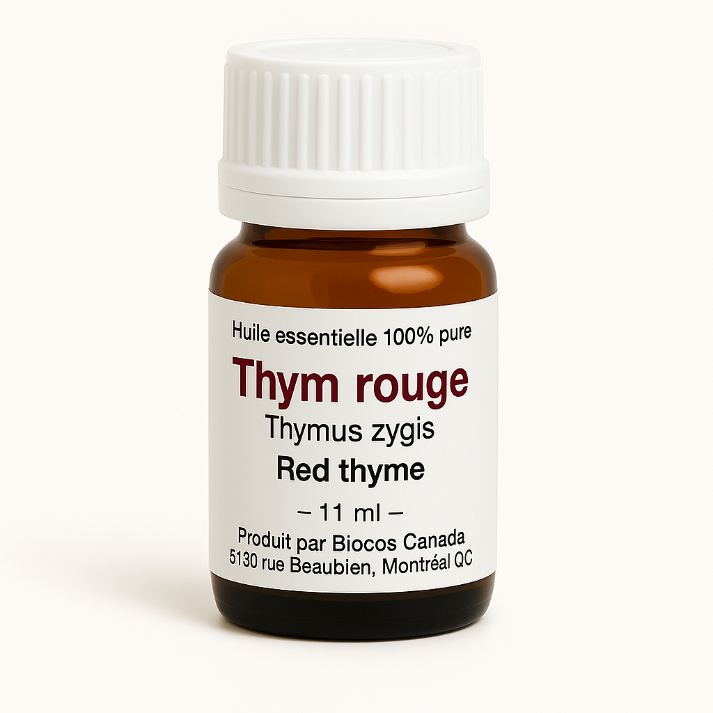 Red Thyme Essential Oil