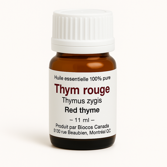 Red Thyme Essential Oil