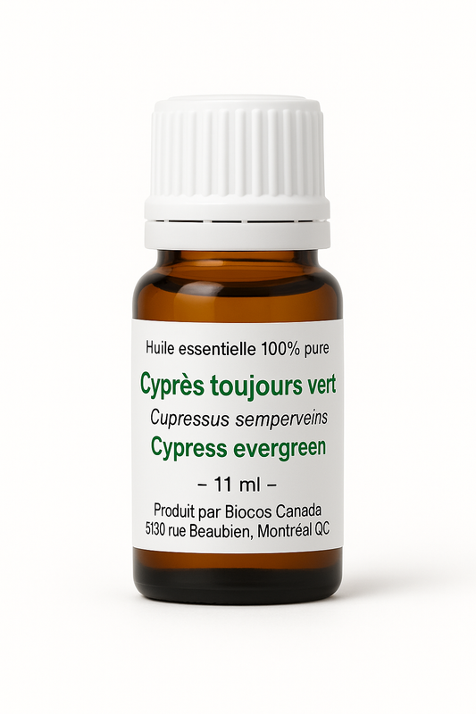 Cypress Essential Oil