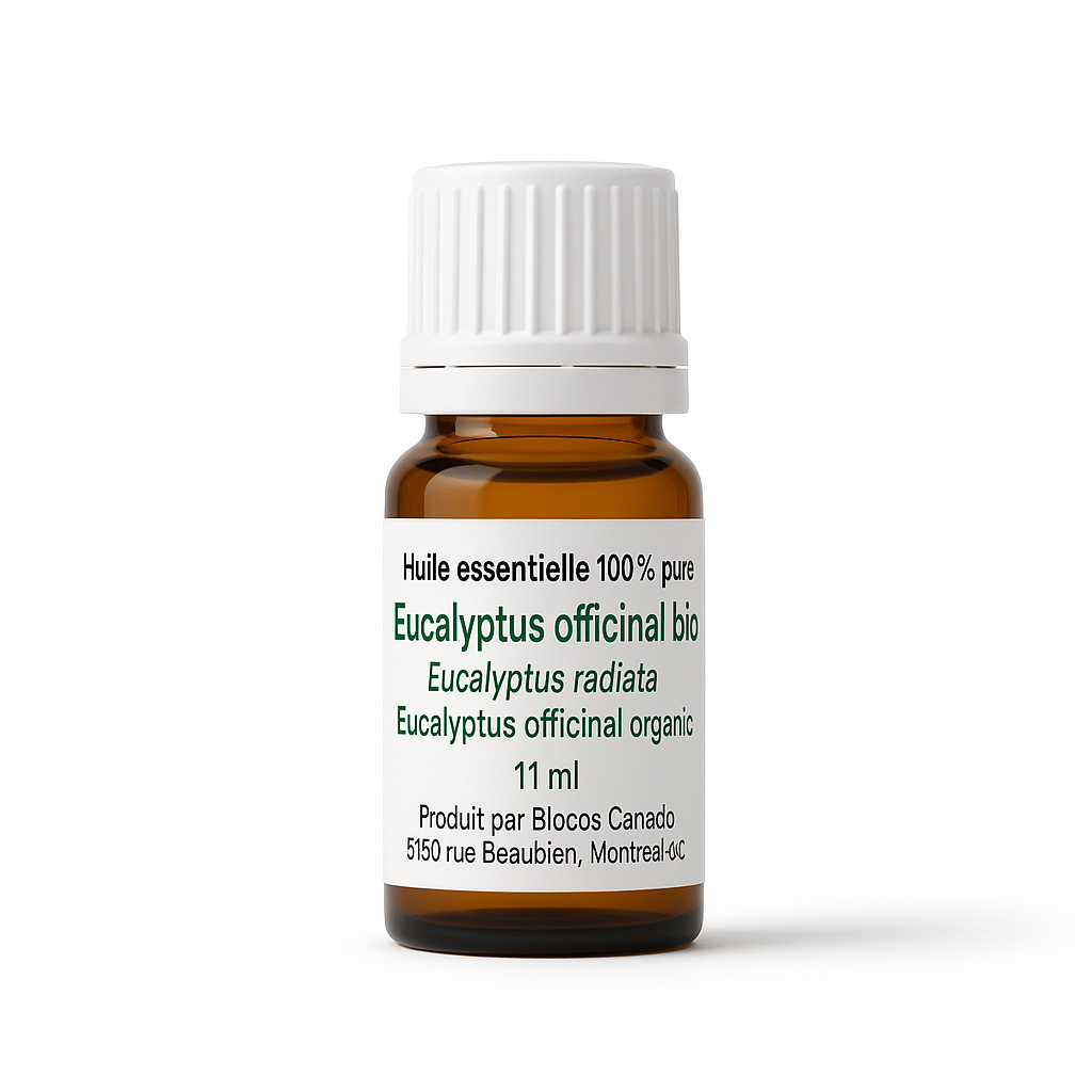 Eucalyptus (Radiata) Essential Oil