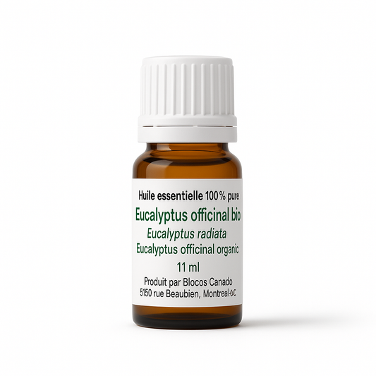 Eucalyptus (Radiata) Essential Oil