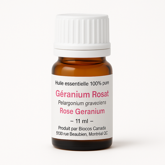 Rose Geranium Essential Oil