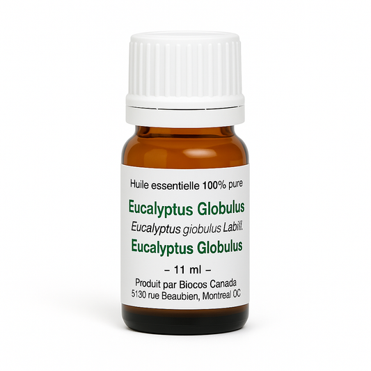 Eucalyptus Globulus Essential Oil