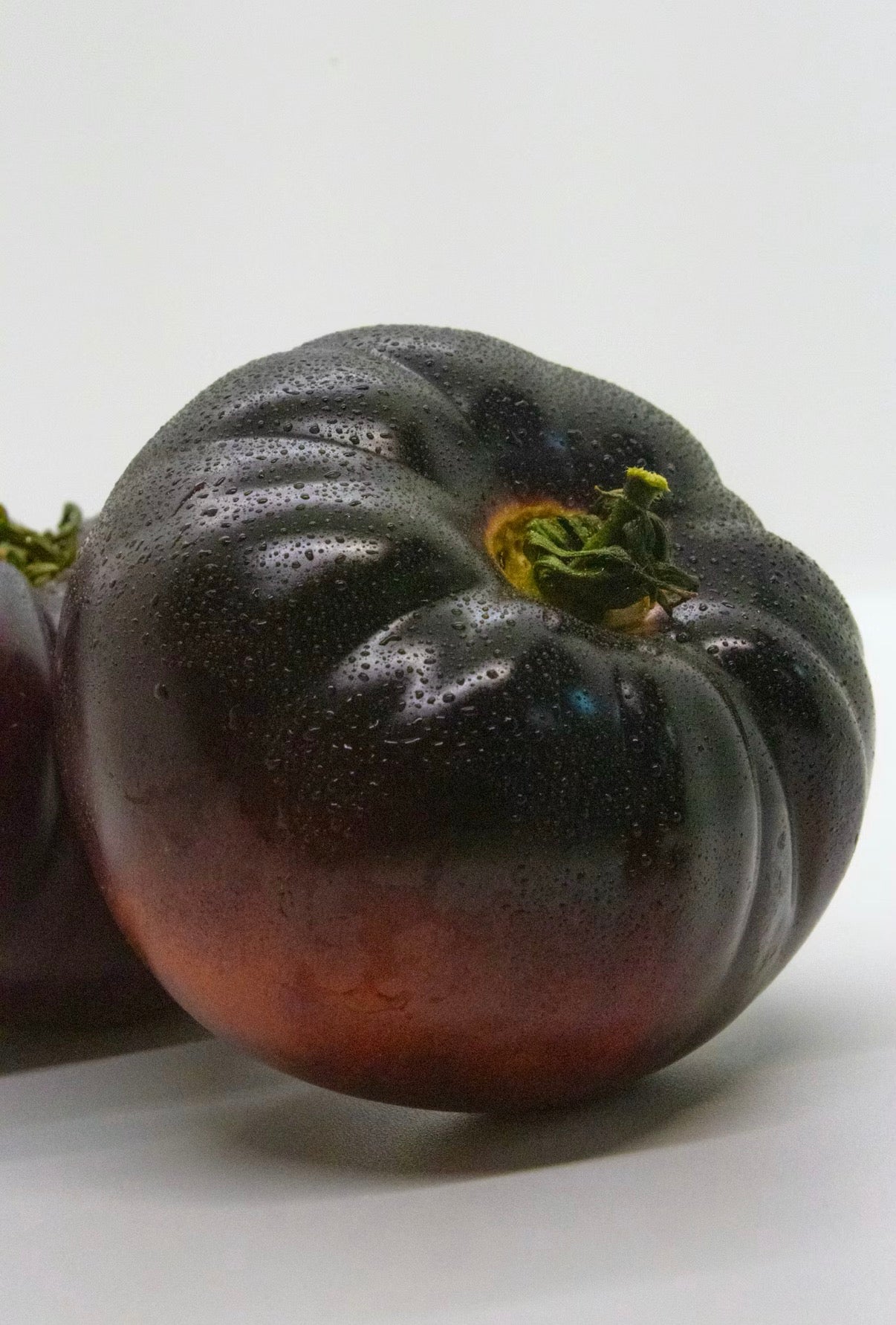 Black Pineapple Tomato Seedling