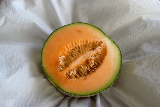 Hearts of Gold Cantaloupe Seedling
