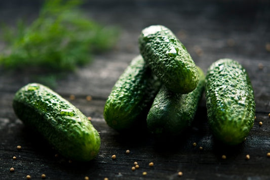 Homemade Pickles Cucumber Seedling
