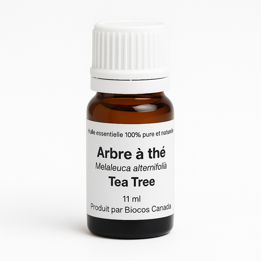 Tea Tree Essential Oil