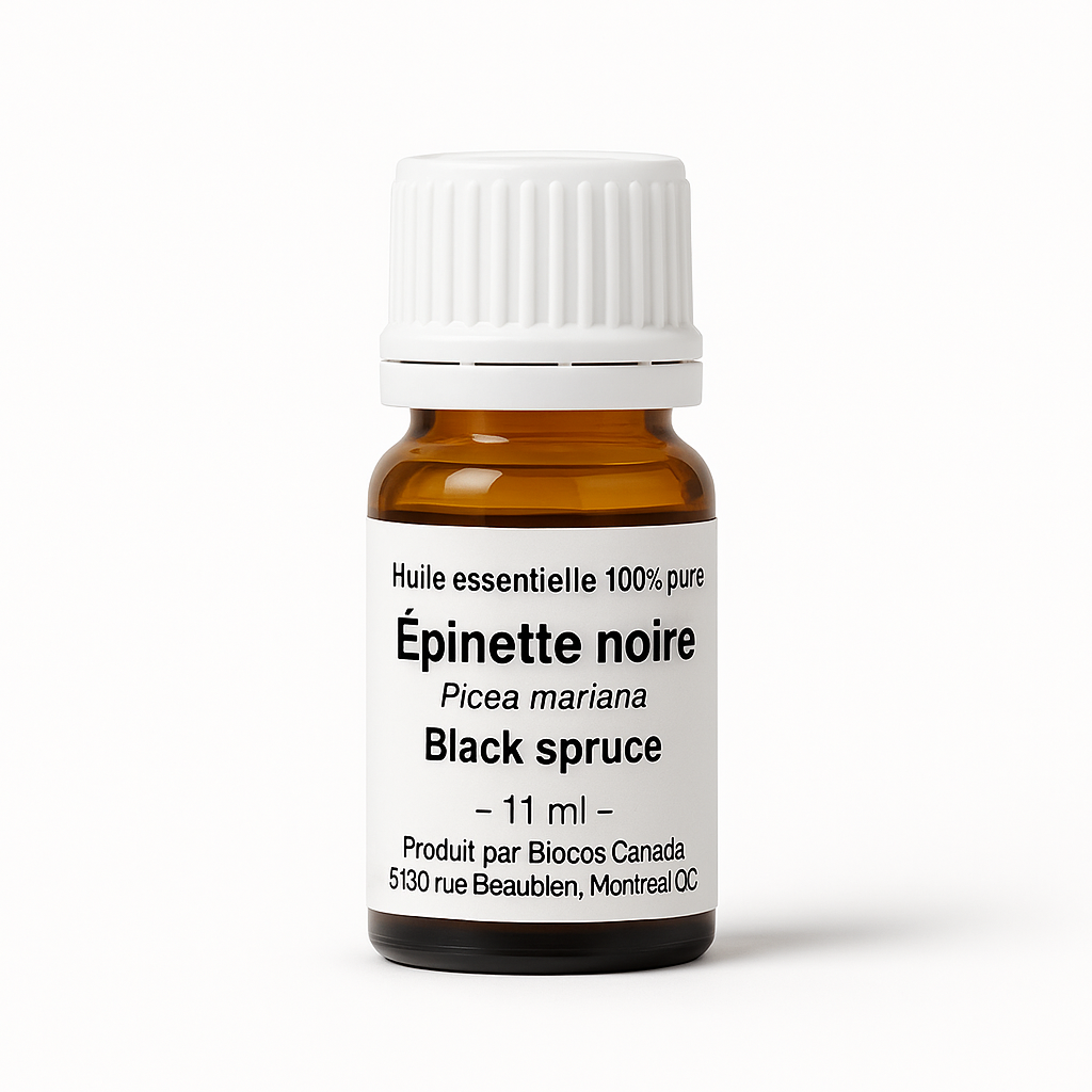 Black Spruce Essential Oil