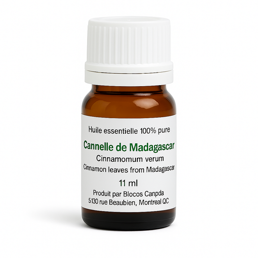 Ceylon Cinnamon Essential Oil