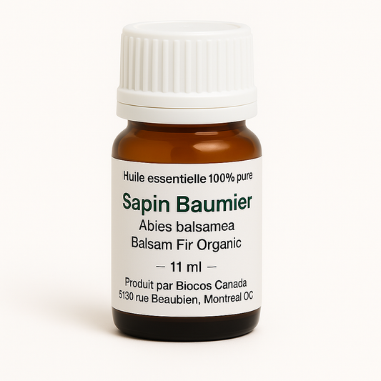 Balsam Fir Essential Oil