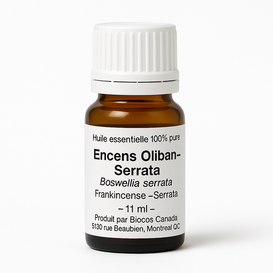 Frankincense Essential Oil